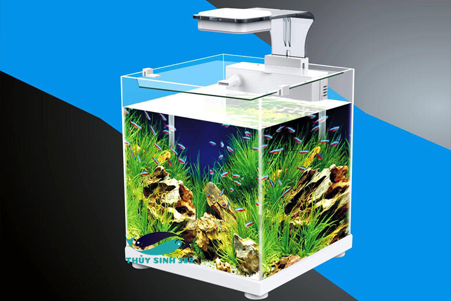 Bể Cá Thủy Sinh Mini